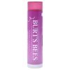 Burts Bees Tinted Lip Balm - Sweet Violet